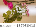 Dried flowers, small parasols and carnations 137956418