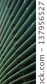 Reflections and geometric patterns on the glass facade (abstract urban background material) - an abstract capture of the exterior of glass architecture. 137956527