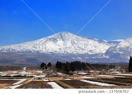從鳥海綠線看到的鳥海山 137956767