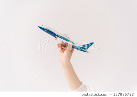 女人乘飛機旅行 137956788