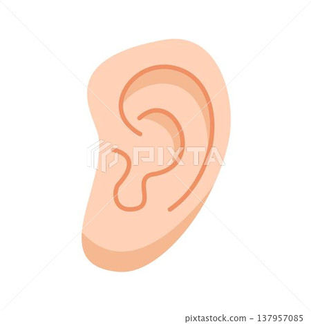 human ear anatomy, healthcare human ear anatomy, healthcare 137957085