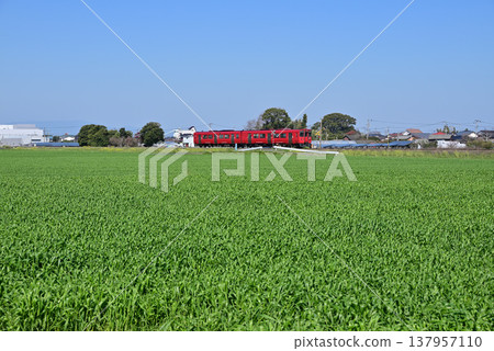 Local train running through fresh greenery Local train running through fresh greenery 137957110