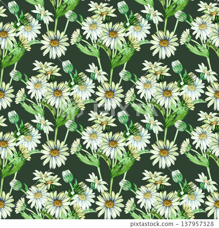 Seamless pattern featuring graceful watercolor daisies and green leaves on a white background. This light, airy design is perfect for textiles, wallpapers, and elegant packaging. Seamless pattern featuring graceful watercolor daisies and green leaves on a white background. This light, airy design is perfect for textiles, wallpapers, and elegant packaging. 137957328