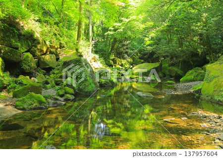 春意盎然的矢吹景(中津市) 春意盎然的矢吹景(中津市) 137957604