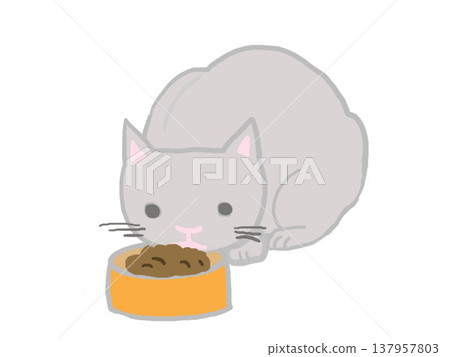White cat eating food White cat eating food 137957803