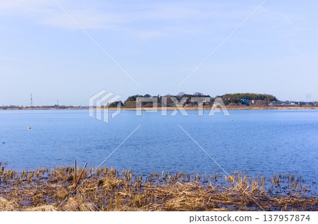 2026年3月,茨城縣筑波市牛沼湖周邊景色 2026年3月,茨城縣筑波市牛沼湖周邊景色 137957874