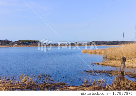 2026年3月,茨城縣筑波市牛沼湖周邊景色 2026年3月,茨城縣筑波市牛沼湖周邊景色 137957875