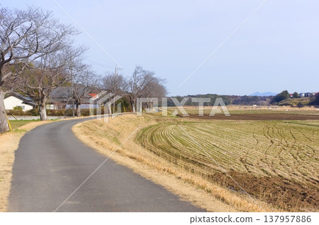 Landscape around Ushikunuma Lake in Tsukuba City, Ibaraki Prefecture, March 2026 137957886