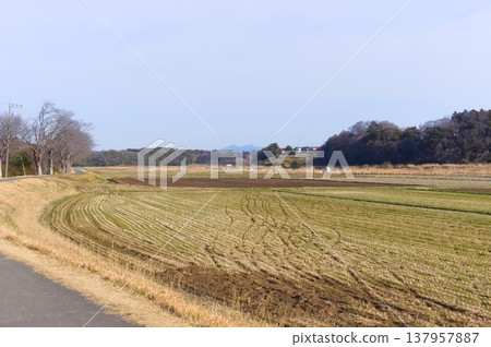 Landscape around Ushikunuma Lake in Tsukuba City, Ibaraki Prefecture, March 2026 Landscape around Ushikunuma Lake in Tsukuba City, Ibaraki Prefecture, March 2026 137957887