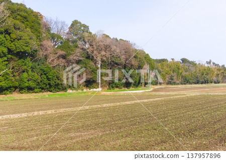2026年3月，茨城縣筑波市牛沼湖周邊景色 137957896