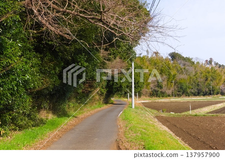Landscape around Ushikunuma Lake in Tsukuba City, Ibaraki Prefecture, March 2026 Landscape around Ushikunuma Lake in Tsukuba City, Ibaraki Prefecture, March 2026 137957900