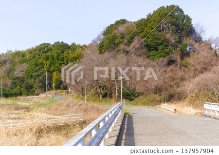 Landscape around Ushikunuma Lake in Tsukuba City, Ibaraki Prefecture, March 2026 137957904