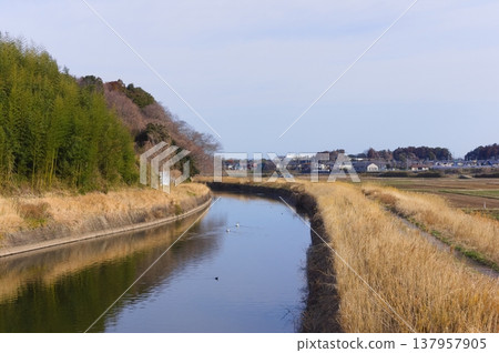Landscape around Ushikunuma Lake in Tsukuba City, Ibaraki Prefecture, March 2026 137957905