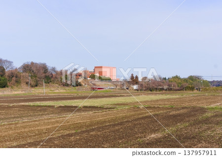 2026年3月，茨城縣筑波市牛沼湖周邊景色 137957911