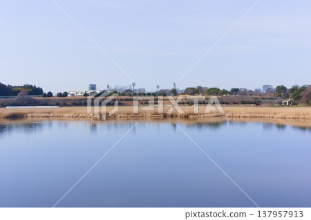 2026年3月,茨城縣筑波市牛沼湖周邊景色 2026年3月,茨城縣筑波市牛沼湖周邊景色 137957913