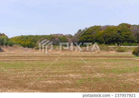 Landscape around Ushikunuma Lake in Tsukuba City, Ibaraki Prefecture, March 2026 Landscape around Ushikunuma Lake in Tsukuba City, Ibaraki Prefecture, March 2026 137957921