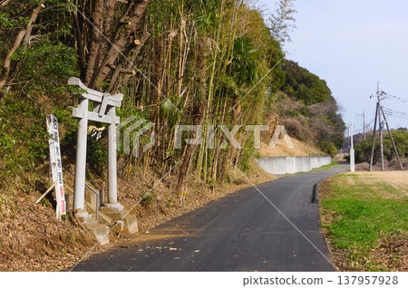 Landscape around Ushikunuma Lake in Tsukuba City, Ibaraki Prefecture, March 2026 137957928