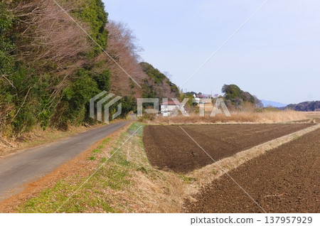 Landscape around Ushikunuma Lake in Tsukuba City, Ibaraki Prefecture, March 2026 Landscape around Ushikunuma Lake in Tsukuba City, Ibaraki Prefecture, March 2026 137957929