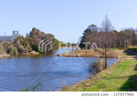 Mizumoto Park area, Katsushika Ward, Tokyo, March 2026 137957966
