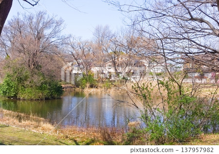 Mizumoto Park area, Katsushika Ward, Tokyo, March 2026 137957982