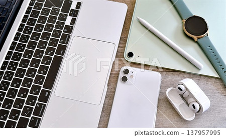 Digital devices, mobile terminals: an overview 137957995