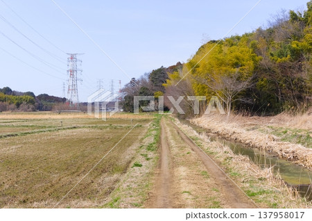 Around the Stork Sanctuary in Noda City, Chiba Prefecture, March 2026 Around the Stork Sanctuary in Noda City, Chiba Prefecture, March 2026 137958017