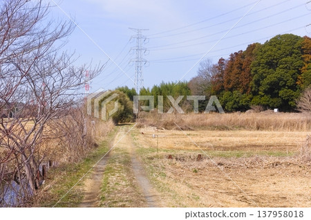 Around the Stork Sanctuary in Noda City, Chiba Prefecture, March 2026 137958018