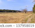 Around the Stork Sanctuary in Noda City, Chiba Prefecture, March 2026 137958019