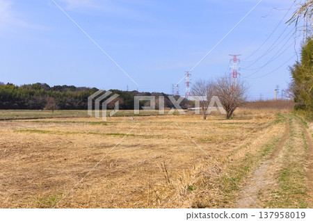 Around the Stork Sanctuary in Noda City, Chiba Prefecture, March 2026 Around the Stork Sanctuary in Noda City, Chiba Prefecture, March 2026 137958019
