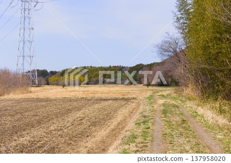 2026年3月，千葉縣野田市鸛鳥保護區週邊 137958020