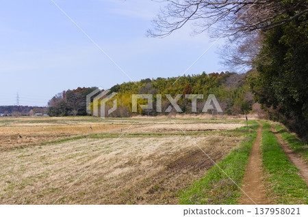 Around the Stork Sanctuary in Noda City, Chiba Prefecture, March 2026 Around the Stork Sanctuary in Noda City, Chiba Prefecture, March 2026 137958021