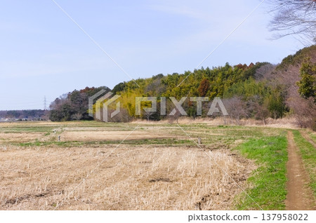 2026年3月，千葉縣野田市鸛鳥保護區週邊 137958022