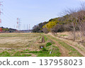 Around the Stork Sanctuary in Noda City, Chiba Prefecture, March 2026 137958023