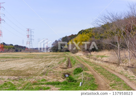 2026年3月，千葉縣野田市鸛鳥保護區週邊 137958023