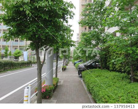 A sidewalk of a residential area 137958413