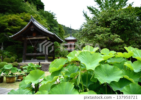 三室戶寺的鐘樓 137958721