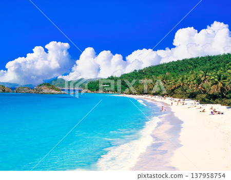 Trunk Bay, the most beautiful beach in the Caribbean, offers breathtaking views. 137958754