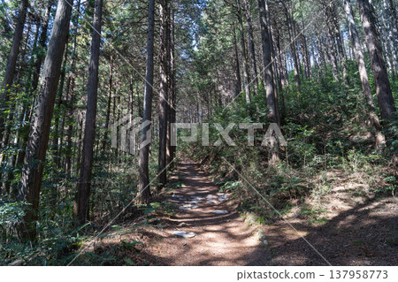 Konpirayama登山步道（東京秋留野市） 137958773