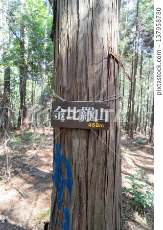 The summit of Konpirayama (Akiruno City, Tokyo) 137958780