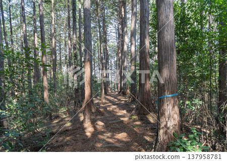Hiking trail from Konpira-yama to Minamisawa Ajisai-yama (Akiruno City, Tokyo) 137958781