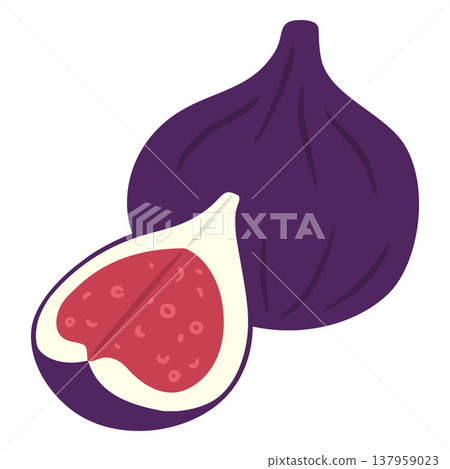 Fresh fig fruit with seeds cut and whole vector flat icon, sweet ripe tropic exotic fruit, organic juicy snack dessert Fresh fig fruit with seeds cut and whole vector flat icon, sweet ripe tropic exotic fruit, organic juicy snack dessert 137959023