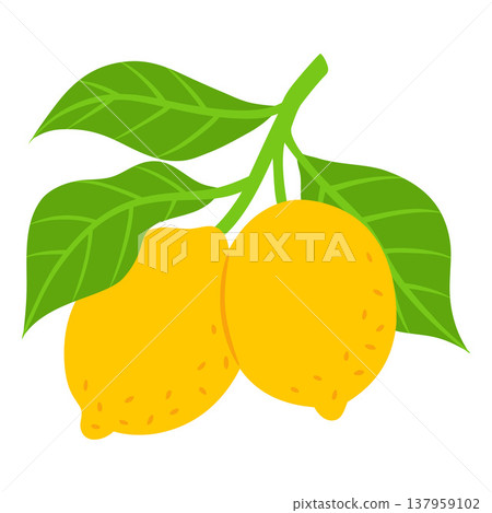 Juicy lemons on branch with leaves, vector flat tropical yellow sour citrus fruits, Mediterranean menu design element Juicy lemons on branch with leaves, vector flat tropical yellow sour citrus fruits, Mediterranean menu design element 137959102