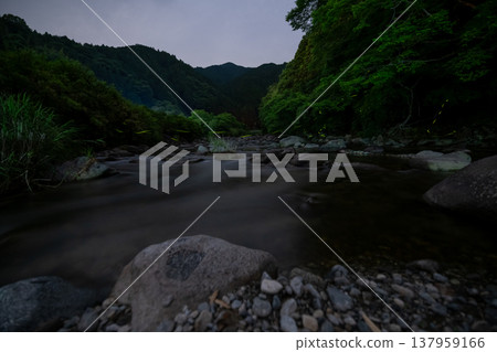 一條河流流經幽暗的森林 一條河流流經幽暗的森林 137959166