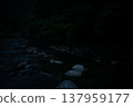 A river flowing through a dark forest 137959177