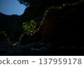 An image of a heart drawn with the light trails of fireflies. 137959178