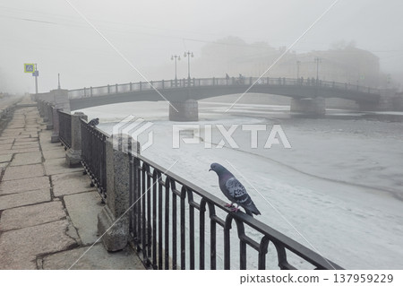Foggy morning at riverbank, cold and quiet. Saint Petersburg in spring. Foggy morning at riverbank, cold and quiet. Saint Petersburg in spring. 137959229