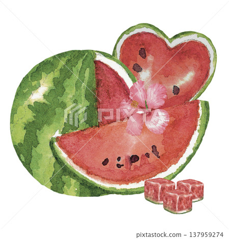 Creative Watermelon Fruit Composition Illustration 137959274