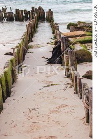 Groyne structures with wooden posts creating a weathered path into the ocean on a sandy beach, showcasing coastal erosion and protection during a cloudy day 137959336