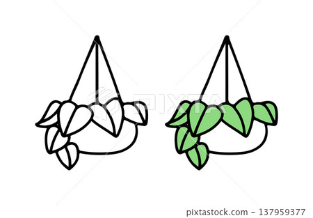 一組黑白和彩色的懸掛植物插圖。 137959377