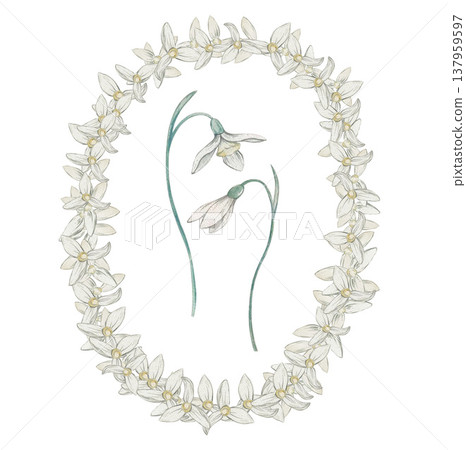 snowdrop flower composition watercolor snowdrop flower composition watercolor 137959597